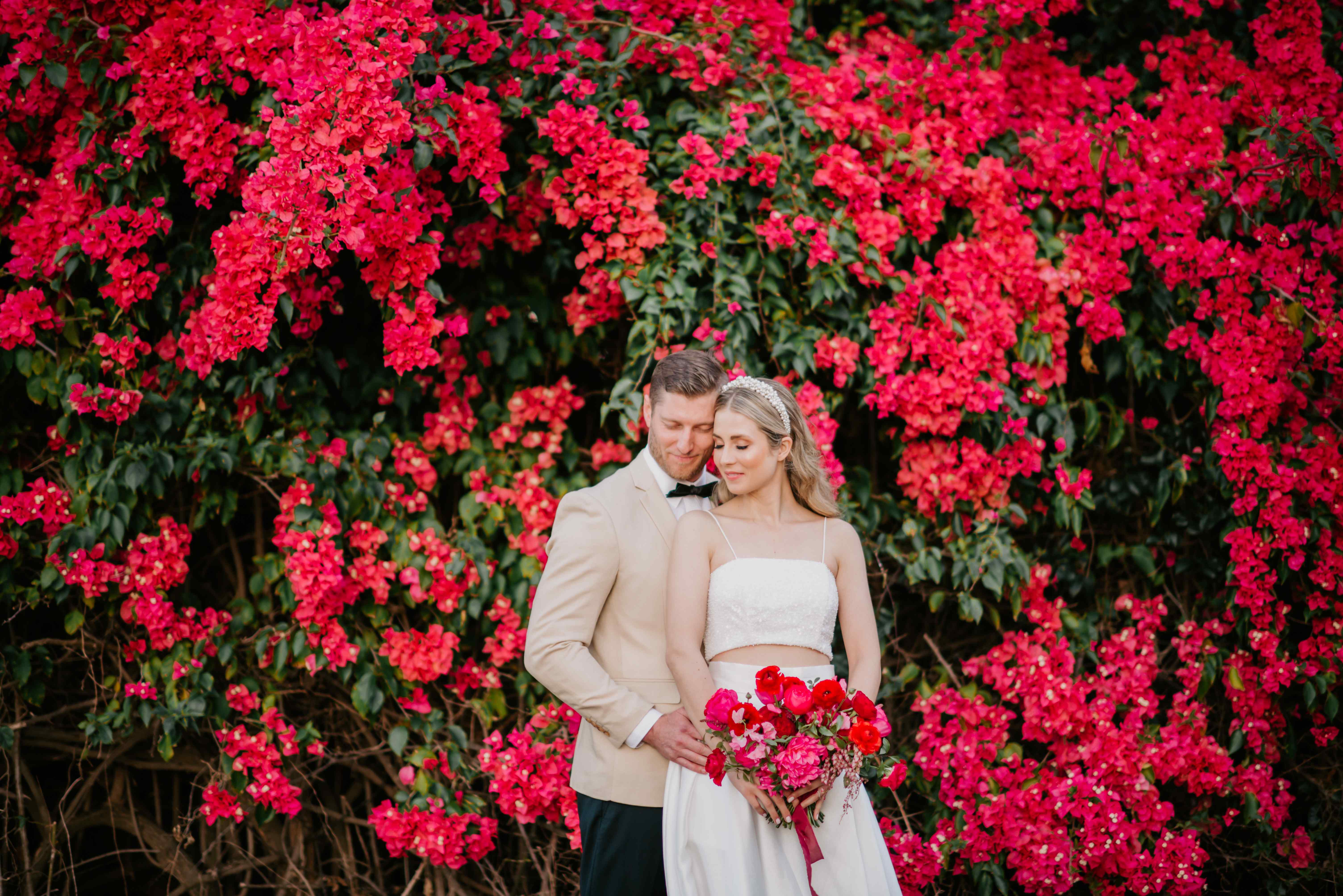 🏕️ 부겐빌레아의 숲(부겐 노 모리) 이미지 7